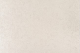 10772-03 Обои дек